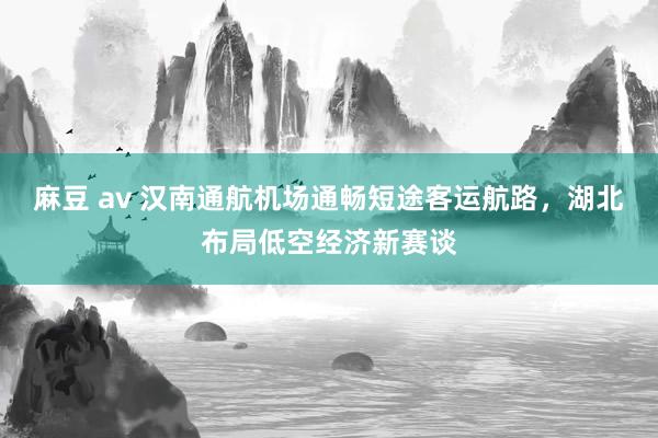 麻豆 av 汉南通航机场通畅短途客运航路，湖北布局低空经济新赛谈