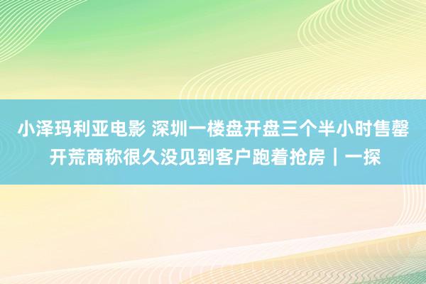 小泽玛利亚电影 深圳一楼盘开盘三个半小时售罄 开荒商称很久没见到客户跑着抢房｜一探