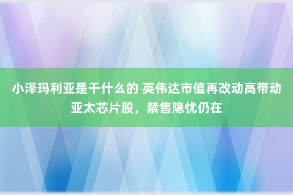 小泽玛利亚是干什么的 英伟达市值再改动高带动亚太芯片股，禁售隐忧仍在