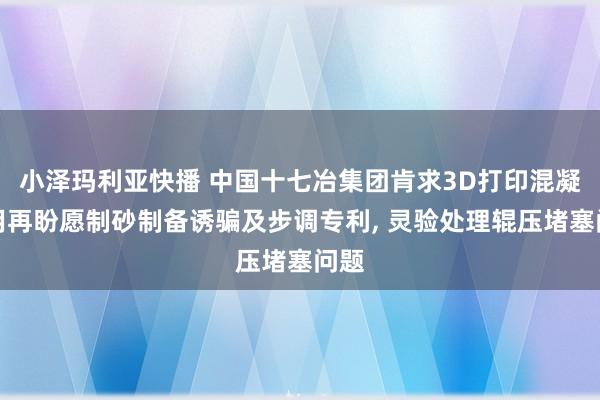 小泽玛利亚快播 中国十七冶集团肯求3D打印混凝土用再盼愿制砂制备诱骗及步调专利， 灵验处理辊压堵塞问题