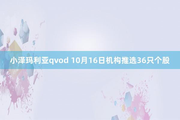 小泽玛利亚qvod 10月16日机构推选36只个股