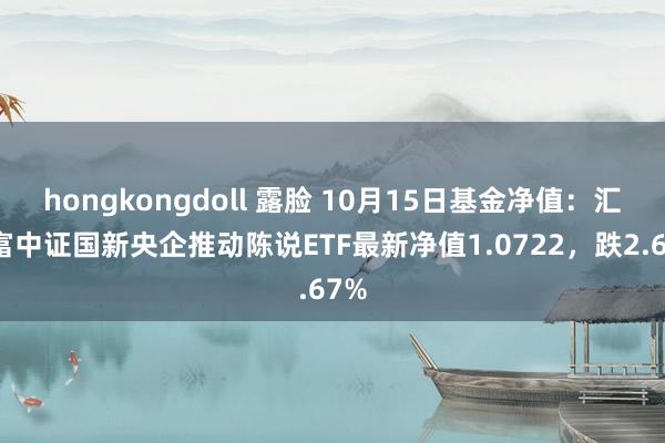 hongkongdoll 露脸 10月15日基金净值：汇添富中证国新央企推动陈说ETF最新净值1.0722，跌2.67%