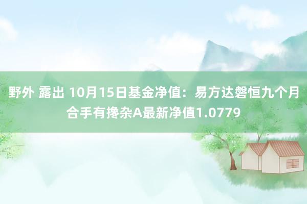 野外 露出 10月15日基金净值：易方达磐恒九个月合手有搀杂A最新净值1.0779