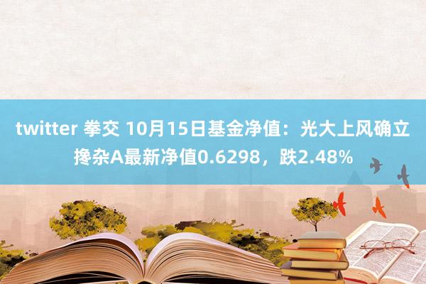 twitter 拳交 10月15日基金净值：光大上风确立搀杂A最新净值0.6298，跌2.48%