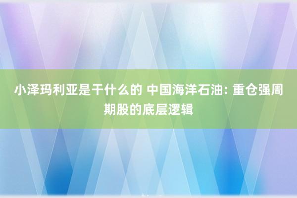 小泽玛利亚是干什么的 中国海洋石油: 重仓强周期股的底层逻辑