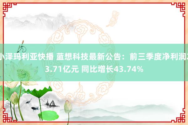 小泽玛利亚快播 蓝想科技最新公告：前三季度净利润23.71亿元 同比增长43.74%