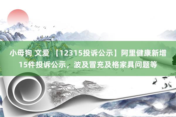 小母狗 文爱 【12315投诉公示】阿里健康新增15件投诉公示，波及冒充及格家具问题等