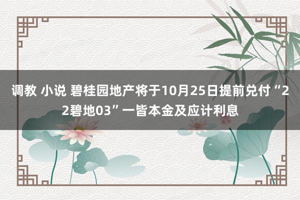 调教 小说 碧桂园地产将于10月25日提前兑付“22碧地03”一皆本金及应计利息