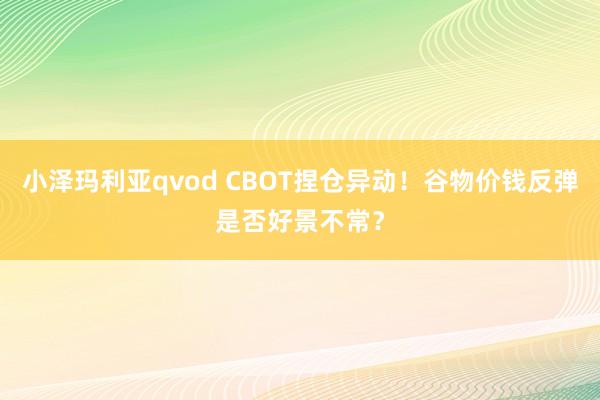 小泽玛利亚qvod CBOT捏仓异动！谷物价钱反弹是否好景不常？