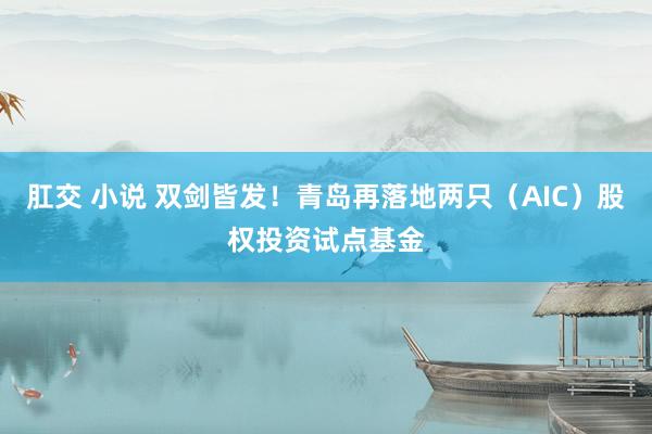 肛交 小说 双剑皆发！青岛再落地两只（AIC）股权投资试点基金