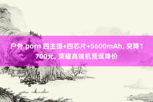 户外 porn 四主摄+四芯片+5600mAh， 突降1700元， 荣耀高端机荒诞降价