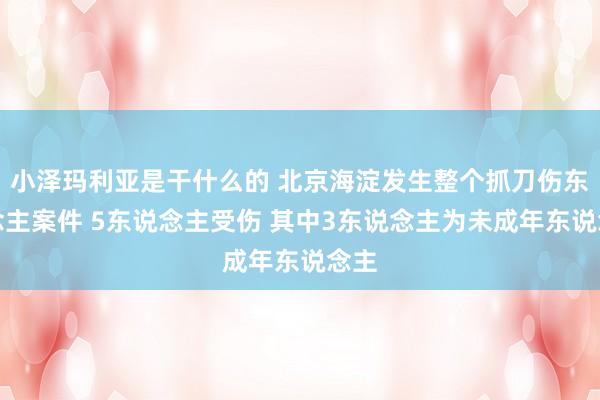 小泽玛利亚是干什么的 北京海淀发生整个抓刀伤东说念主案件 5东说念主受伤 其中3东说念主为未成年东说念主