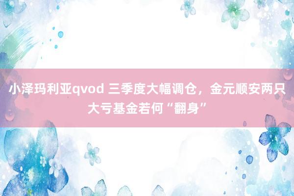 小泽玛利亚qvod 三季度大幅调仓，金元顺安两只大亏基金若何“翻身”