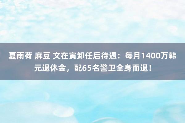 夏雨荷 麻豆 文在寅卸任后待遇：每月1400万韩元退休金，配65名警卫全身而退！