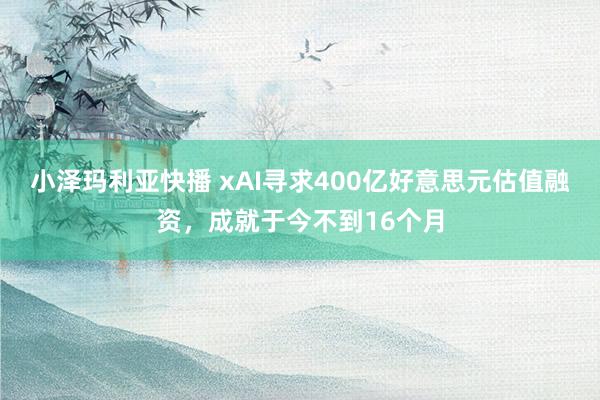 小泽玛利亚快播 xAI寻求400亿好意思元估值融资，成就于今不到16个月