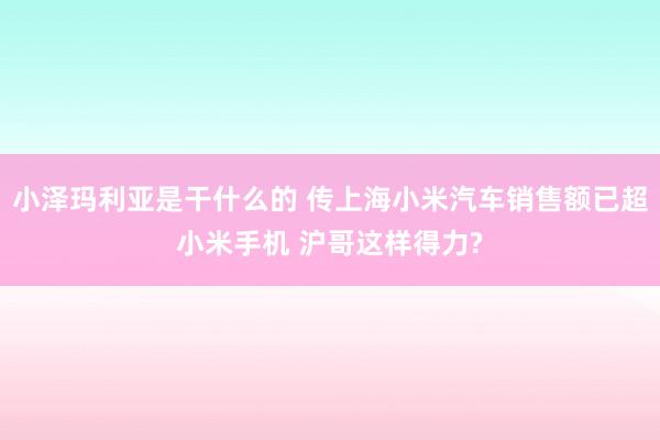 小泽玛利亚是干什么的 传上海小米汽车销售额已超小米手机 沪哥这样得力?