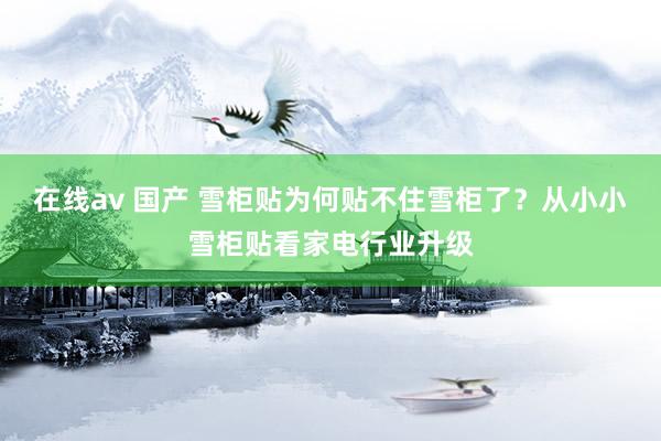 在线av 国产 雪柜贴为何贴不住雪柜了？从小小雪柜贴看家电行业升级