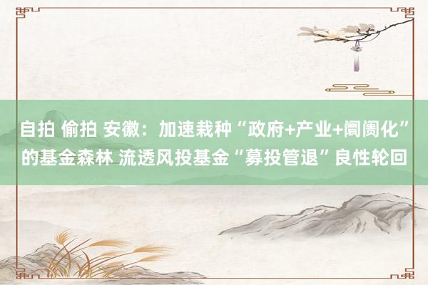 自拍 偷拍 安徽：加速栽种“政府+产业+阛阓化”的基金森林 流透风投基金“募投管退”良性轮回