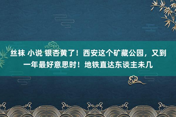 丝袜 小说 银杏黄了！西安这个矿藏公园，又到一年最好意思时！地铁直达东谈主未几