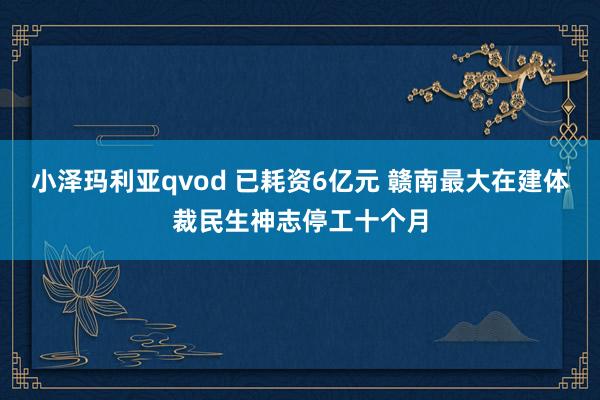 小泽玛利亚qvod 已耗资6亿元 赣南最大在建体裁民生神志停工十个月