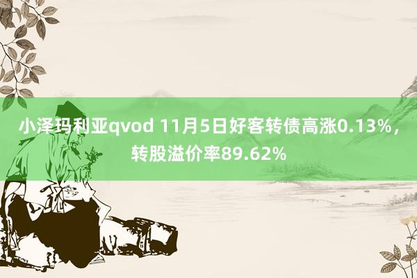 小泽玛利亚qvod 11月5日好客转债高涨0.13%，转股溢价率89.62%