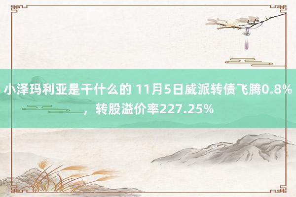 小泽玛利亚是干什么的 11月5日威派转债飞腾0.8%，转股溢价率227.25%