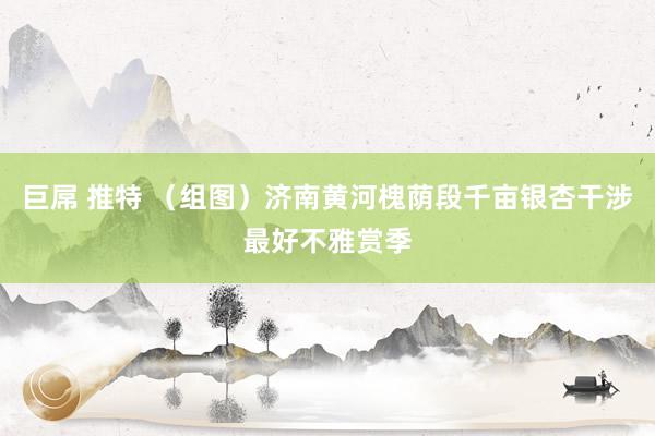 巨屌 推特 （组图）济南黄河槐荫段千亩银杏干涉最好不雅赏季