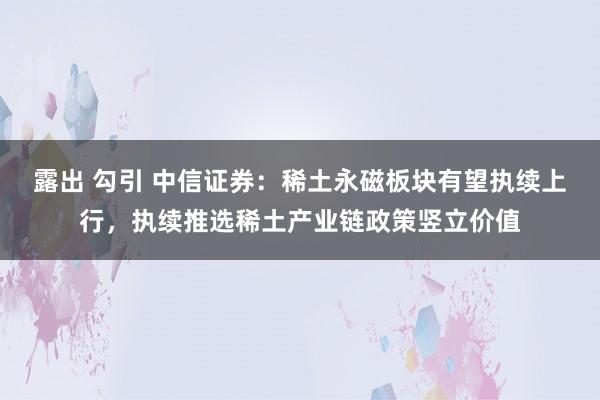 露出 勾引 中信证券：稀土永磁板块有望执续上行，执续推选稀土产业链政策竖立价值