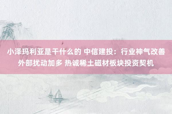 小泽玛利亚是干什么的 中信建投：行业神气改善外部扰动加多 热诚稀土磁材板块投资契机