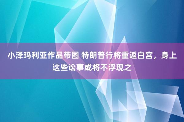 小泽玛利亚作品带图 特朗普行将重返白宫，身上这些讼事或将不浮现之