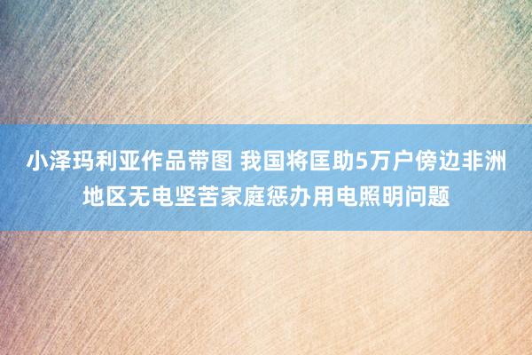 小泽玛利亚作品带图 我国将匡助5万户傍边非洲地区无电坚苦家庭惩办用电照明问题