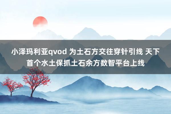 小泽玛利亚qvod 为土石方交往穿针引线 天下首个水土保抓土石余方数智平台上线