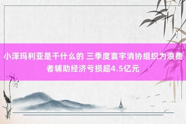 小泽玛利亚是干什么的 三季度寰宇消协组织为浪费者辅助经济亏损超4.5亿元