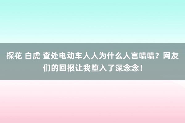 探花 白虎 查处电动车人人为什么人言啧啧？网友们的回报让我堕入了深念念！