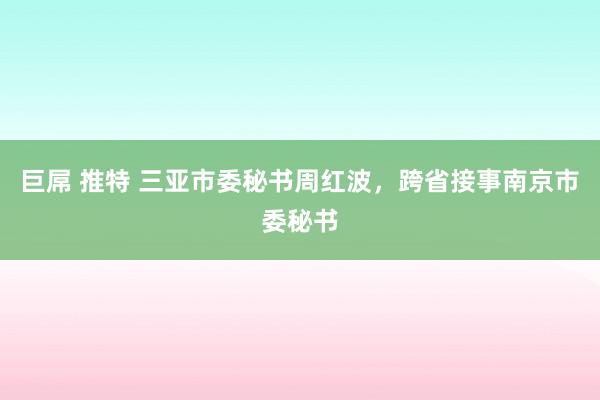 巨屌 推特 三亚市委秘书周红波，跨省接事南京市委秘书