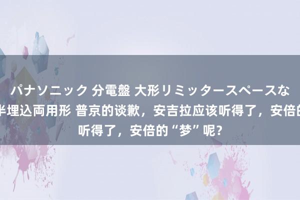 パナソニック 分電盤 大形リミッタースペースなし 露出・半埋込両用形 普京的谈歉，安吉拉应该听得了，安倍的“梦”呢？