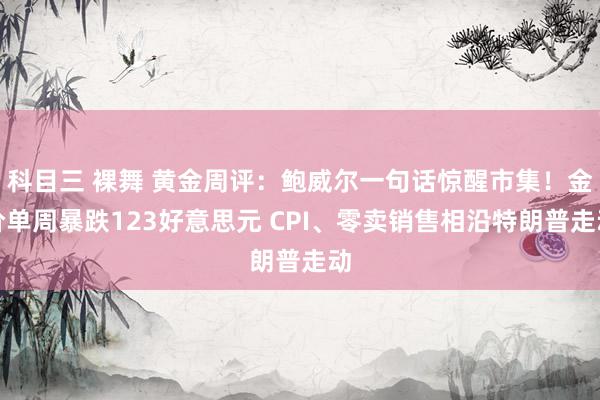 科目三 裸舞 黄金周评：鲍威尔一句话惊醒市集！金价单周暴跌123好意思元 CPI、零卖销售相沿特朗普走动