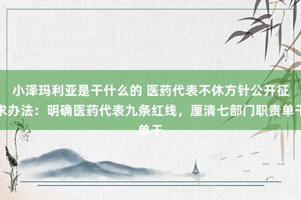 小泽玛利亚是干什么的 医药代表不休方针公开征求办法：明确医药代表九条红线，厘清七部门职责单干