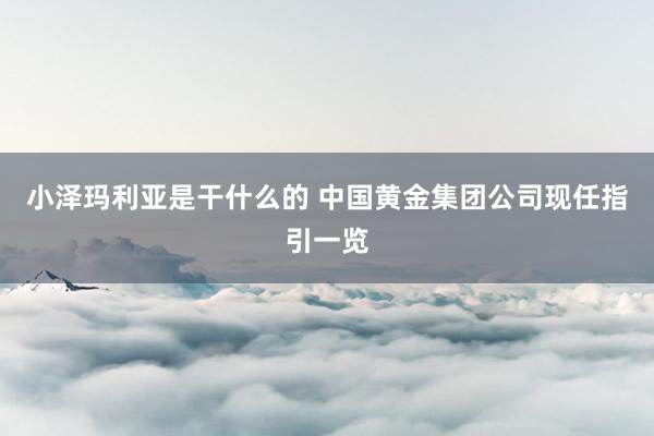 小泽玛利亚是干什么的 中国黄金集团公司现任指引一览