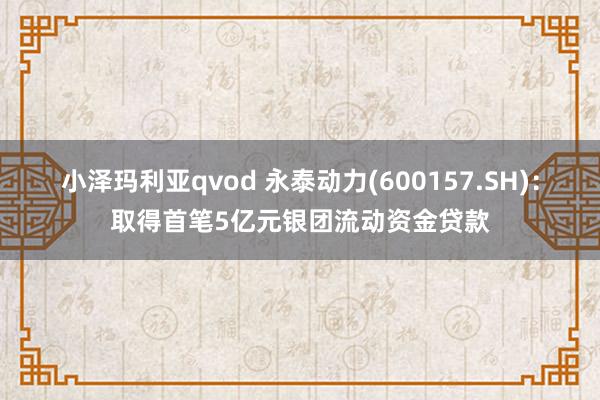 小泽玛利亚qvod 永泰动力(600157.SH)：取得首笔5亿元银团流动资金贷款