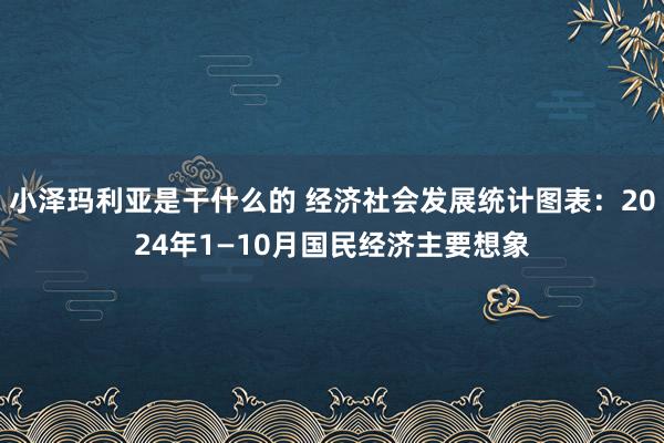 小泽玛利亚是干什么的 经济社会发展统计图表：2024年1—10月国民经济主要想象