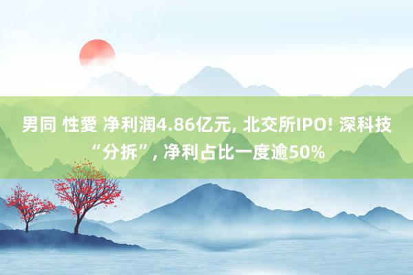 男同 性愛 净利润4.86亿元， 北交所IPO! 深科技“分拆”， 净利占比一度逾50%