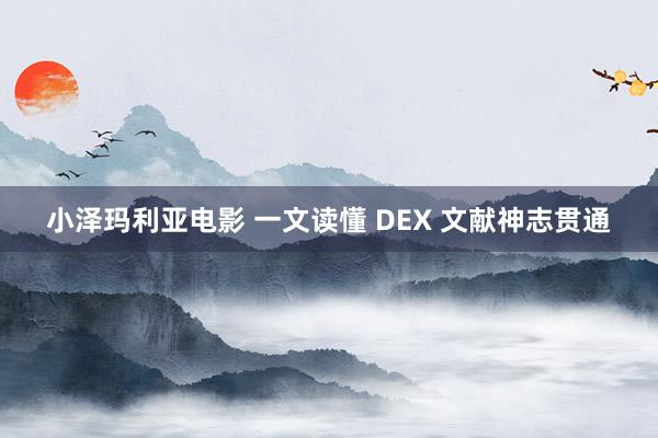 小泽玛利亚电影 一文读懂 DEX 文献神志贯通