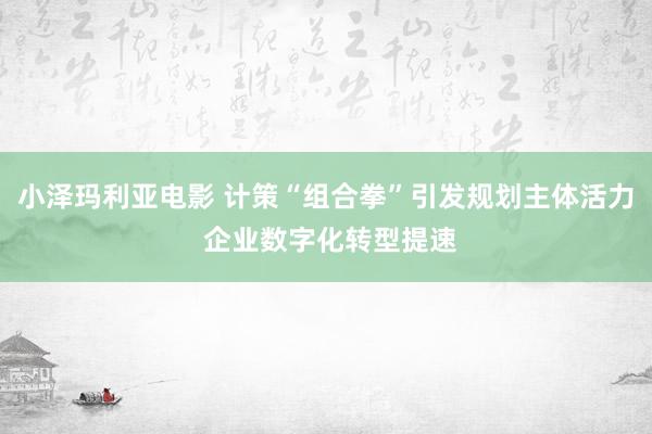 小泽玛利亚电影 计策“组合拳”引发规划主体活力 企业数字化转型提速