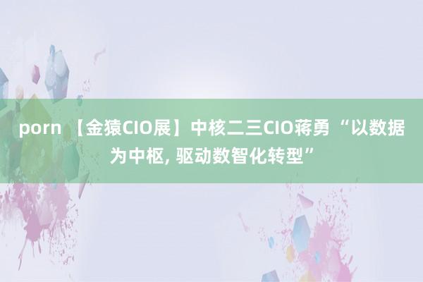 porn 【金猿CIO展】中核二三CIO蒋勇 “以数据为中枢， 驱动数智化转型”