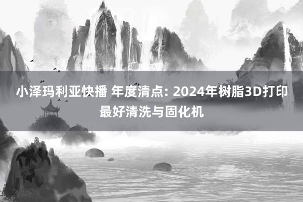 小泽玛利亚快播 年度清点: 2024年树脂3D打印最好清洗与固化机