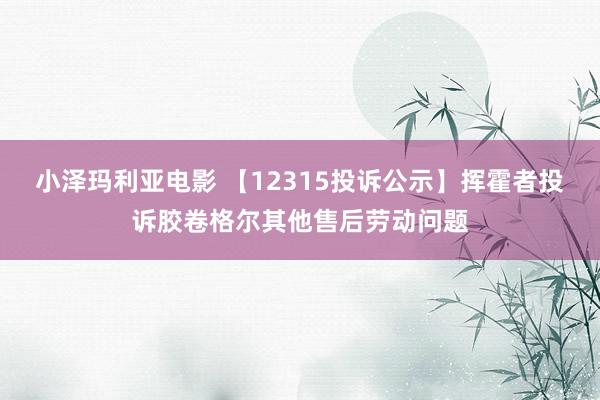 小泽玛利亚电影 【12315投诉公示】挥霍者投诉胶卷格尔其他售后劳动问题