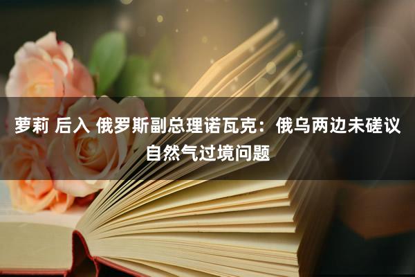 萝莉 后入 俄罗斯副总理诺瓦克：俄乌两边未磋议自然气过境问题