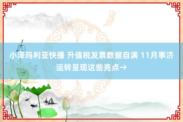 小泽玛利亚快播 升值税发票数据自满 11月事济运转呈现这些亮点→