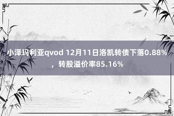 小泽玛利亚qvod 12月11日洛凯转债下落0.88%，转股溢价率85.16%